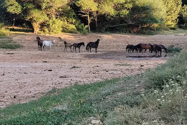Spil Dağı Piknik Alani - Resim 19