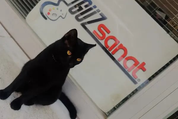 Güz Sanat Akademi Bornova - Resim 2