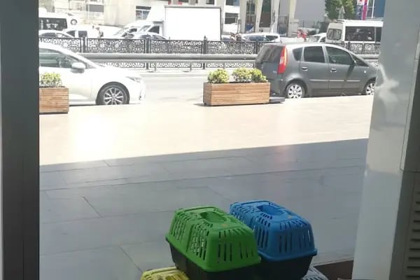 Esenyurt Veteriner Polikliniği - Resim 14