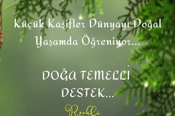Renkli Koza Anaokulu - Resim 14