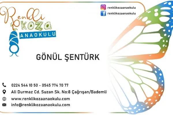 Renkli Koza Anaokulu - Resim 11