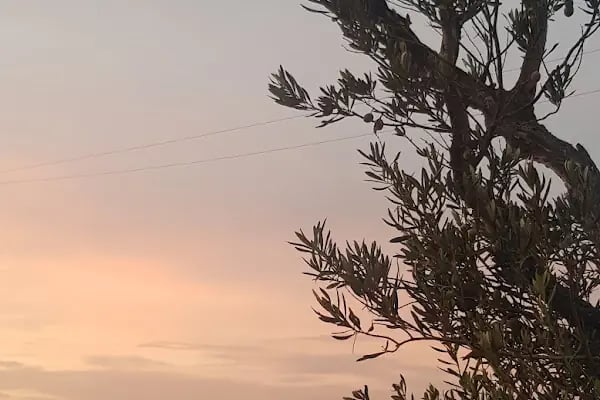 Karaağaç Sahili - Resim 16