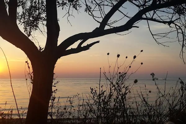 Goca Könçek Pilajı - Resim 15