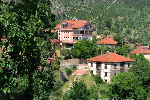 Bademli Gözbaşı Ulu Cami - Resim 20