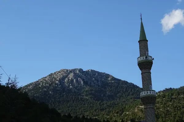 Bademli Gözbaşı Ulu Cami - Resim 5
