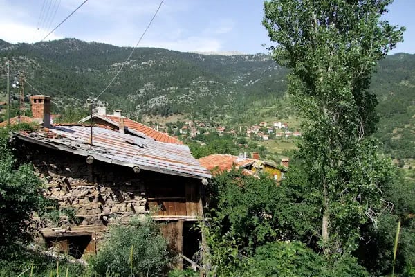 Bademli Gözbaşı Ulu Cami - Resim 16