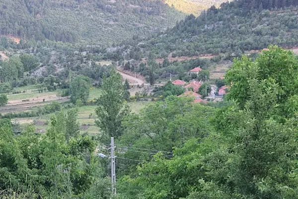 Bademli Gözbaşı Ulu Cami - Resim 13