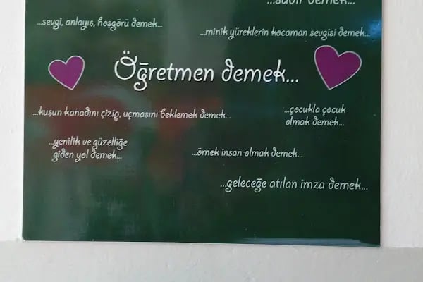 seyhan rehberlik ve araştırma merkezi - Resim 7