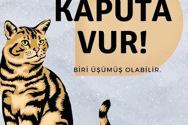 medicana OPTİK - Resim 16