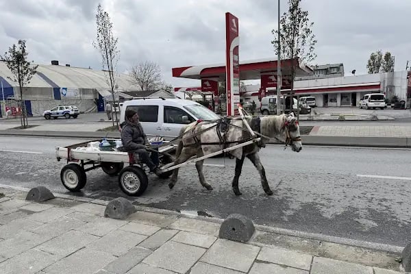 Karadeniz Spor Tesisleri - Resim 6