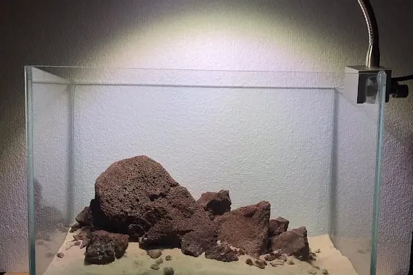Aquashop PetStore - Resim 15