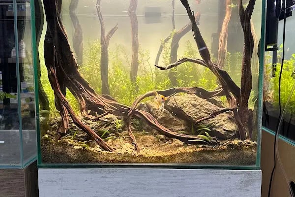 Aquashop PetStore - Resim 18