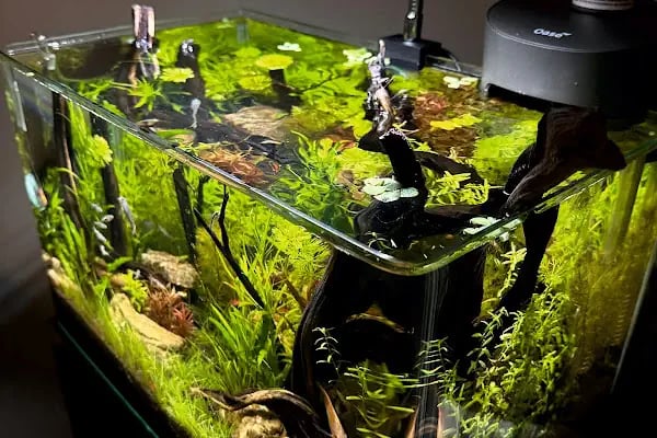 Aquashop PetStore - Resim 9