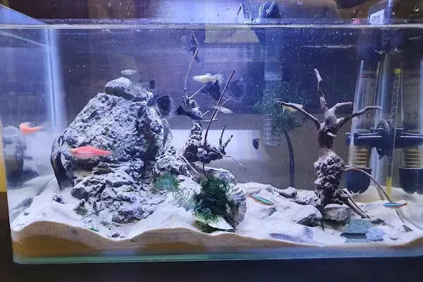 Aquashop PetStore - Resim 8