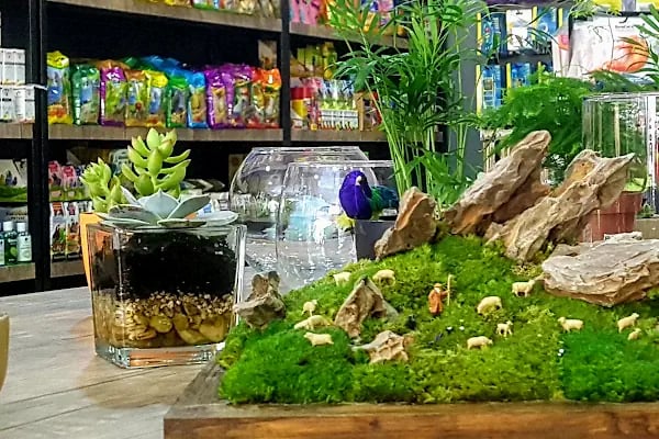 Aquashop PetStore - Resim 14