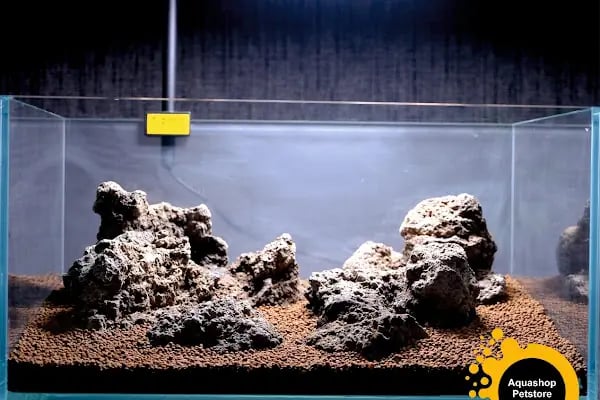 Aquashop PetStore - Resim 2