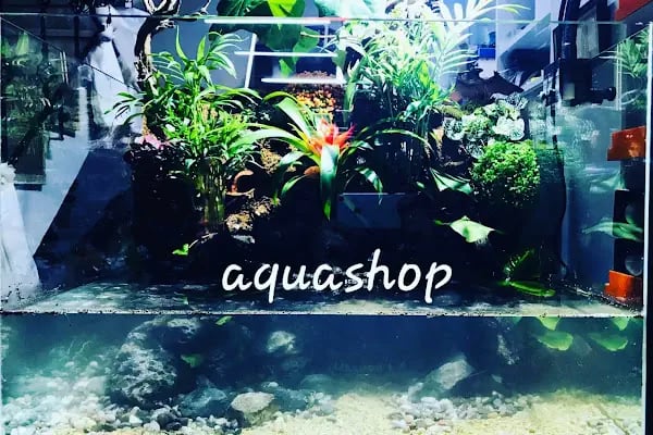 Aquashop PetStore - Resim 5