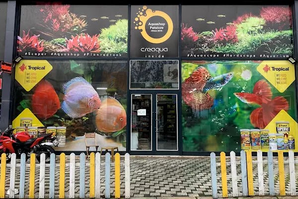 Aquashop PetStore - Resim 4