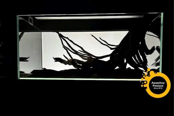 Aquashop PetStore - Resim 19