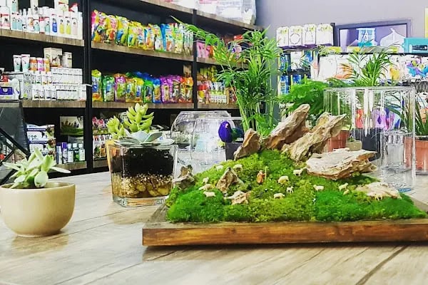 Aquashop PetStore - Resim 16