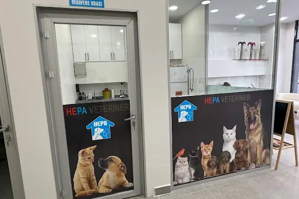 Hepa Veteriner Kliniği - Bahçekent - Bahçeşehir - Resim 7