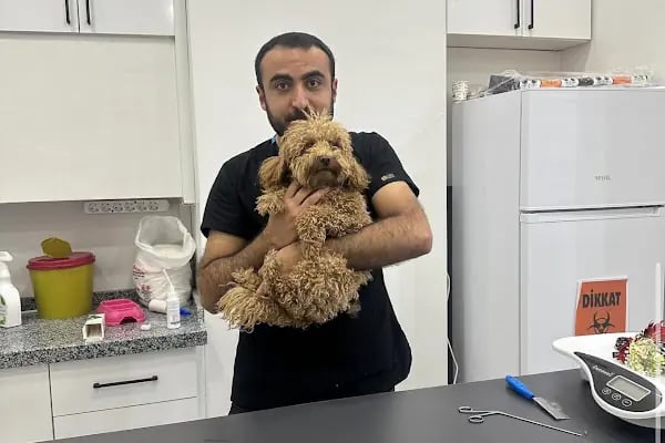 Hepa Veteriner Kliniği - Bahçekent - Bahçeşehir - Resim 13