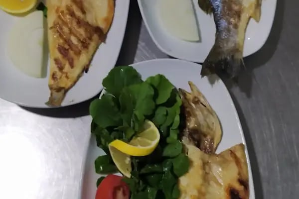 Zeytin Restaurant - Resim 18