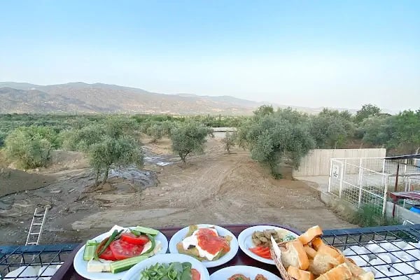 Zeytin Restaurant - Resim 17