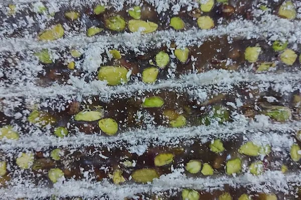 lokum salim şekerleme arı yem fabrikası - Resim 20