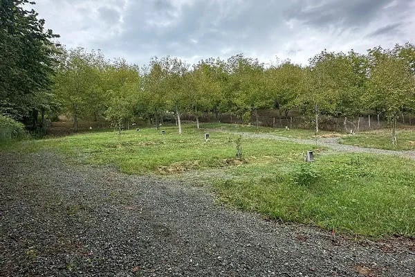 Vage Karavan Kampı - Resim 7