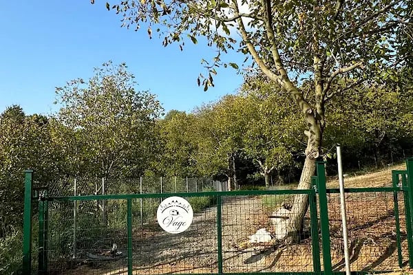 Vage Karavan Kampı - Resim 8