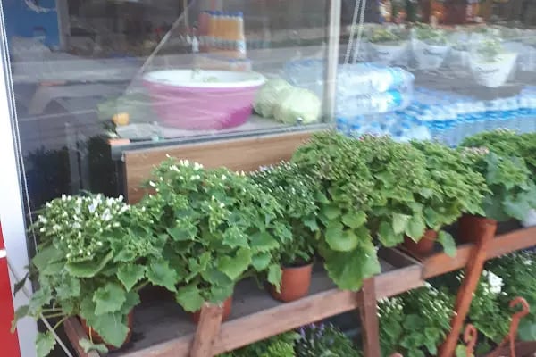 Erkin Market - Resim 10