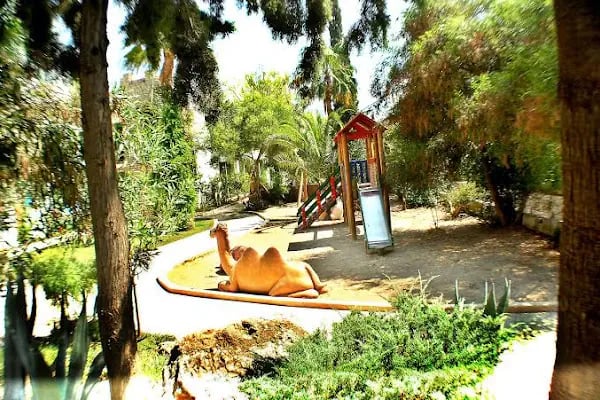 Seda Arinna Hotel - Resim 11