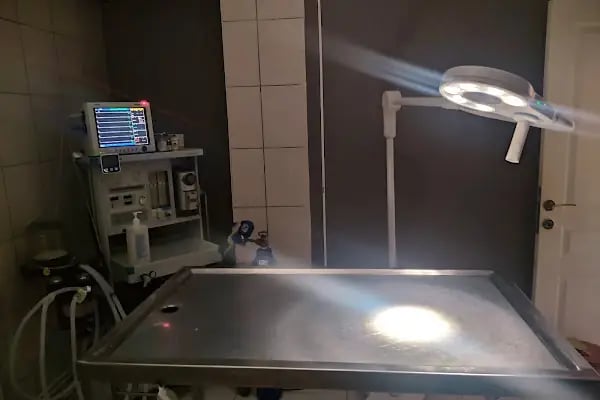 CanAy-Vet Veteriner Kliniği - Resim 9