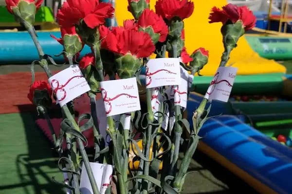 KidsAktivity Çocuk Parkı Şişme Survivor Parkuru Trambolin Sünger Havuzu Baloncuk Party vs . - Resim 4