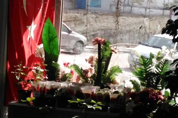 NURŞEN ÇİÇEKÇİLİK - Resim 11