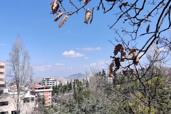 Hindistan Büyükelçiliği - Resim 14
