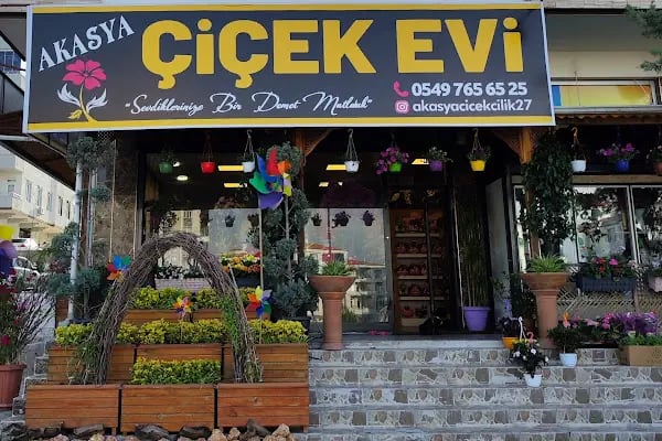 Akasya çiçekcilik AKASYA ÇİÇEK EVİ - Resim 1