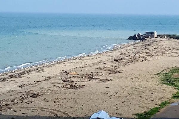 Akraba Beach - Resim 13