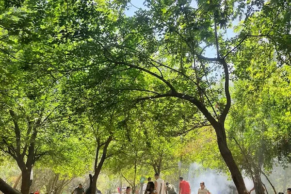 Dokuzoluk Kanyonu ve Kamp Alanı - Resim 19
