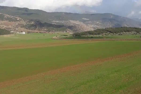 İslahiye İktisadi Ve İdari Bilimler Fakültesi - Resim 10