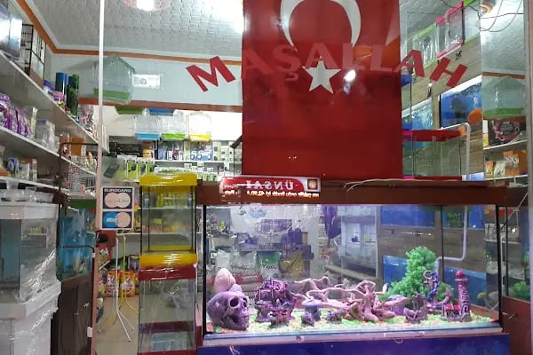 Çulfa Petshop - Resim 7
