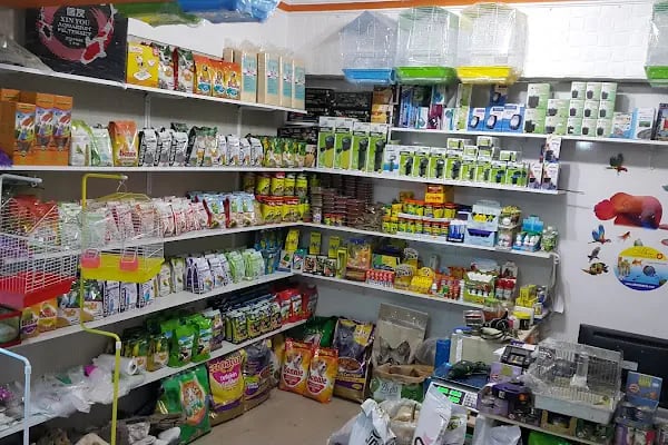 Çulfa Petshop - Resim 13