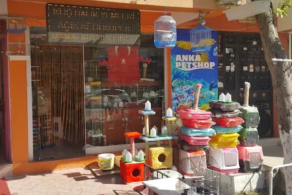 Çulfa Petshop - Resim 1