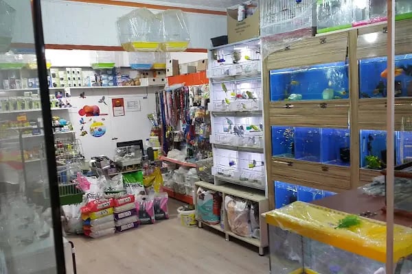 Çulfa Petshop - Resim 17