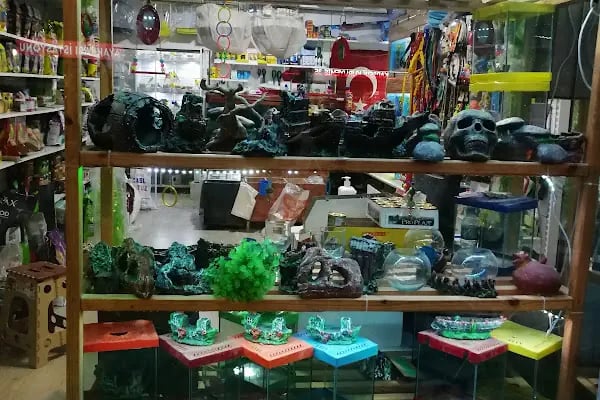 Çulfa Petshop - Resim 3