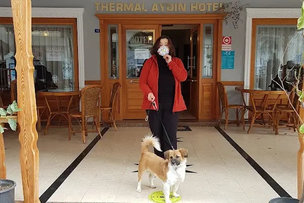 Thermal Aydın Hotel - Resim 15