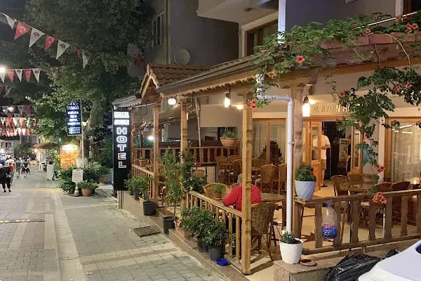 Thermal Aydın Hotel - Resim 8