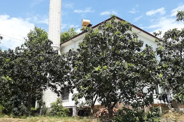 Güler Cami - Resim 7