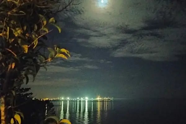 Saklı koy Camping - Resim 18